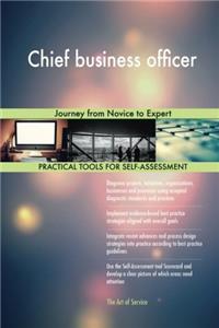 Chief Business Officer: Journey from Novice to Expert