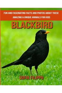 Blackbird