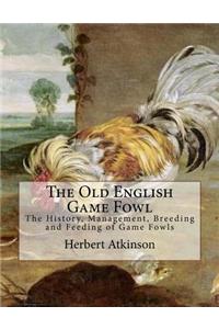 Old English Game Fowl