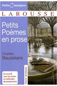 Petits Poemes En Prose