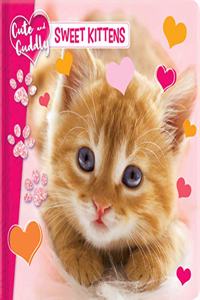 Cute and Cuddly: Sweet Kittens