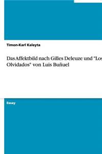 Das Affektbild Nach Gilles Deleuze Und 