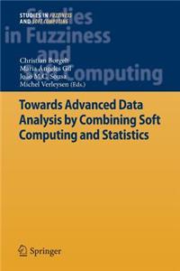 Towards Advanced Data Analysis by Combining Soft Computing and Statistics