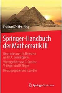 Springer-Handbuch Der Mathematik III