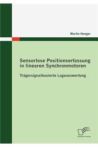 Sensorlose Positionserfassung in linearen Synchronmotoren