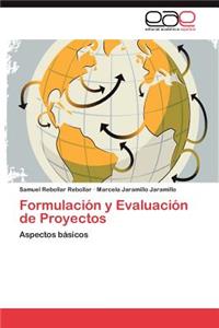 Formulacion y Evaluacion de Proyectos