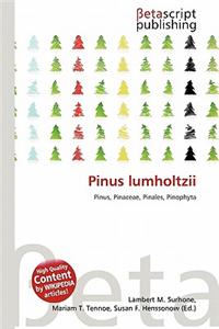 Pinus Lumholtzii