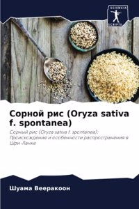 Сорной рис (Oryza sativa f. spontanea)