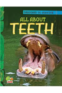Designed to Survive: All About Teeth