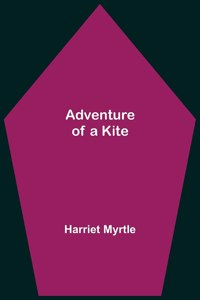 Adventure of a Kite