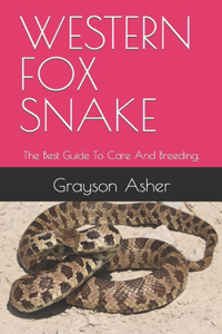 Western Fox Snake