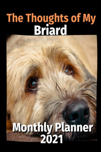 The Thoughts of My Briard