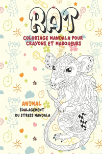 Coloriage Mandala pour crayons et marqueurs - Soulagement du stress Mandala - Animal - Rat