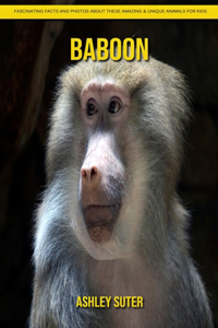 Baboon