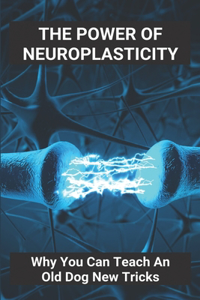 The Power Of Neuroplasticity