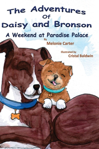 Adventures of Daisy and Bronson