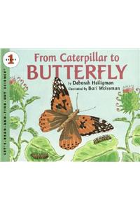 From Caterpillar to Butterfly