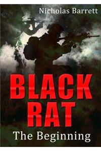 Black Rat