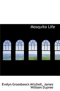 Mosquito Life