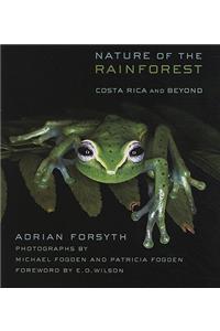 Nature of the Rainforest
