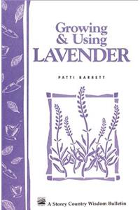 Growing & Using Lavender