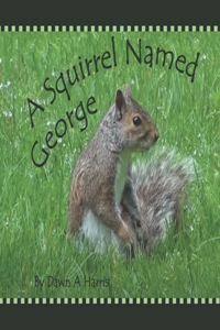 Squirrel Named George
