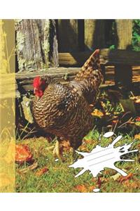 Funny Chicken in Farm Yard Photograph Wide-ruled Lined School Composition Notebook