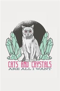 Cats and Crystals Are All I Want