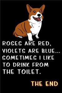 roses are red violets are blue sometimes i like to drink from the toilet