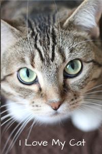 I Love My Cat