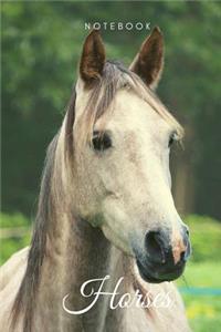 Horses notebook