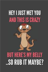 Hey I Just Met You And This Is Crazy But Here's My Belly ..So Rub It Maybe?