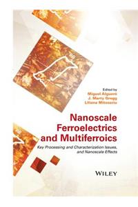 Nanoscale Ferroelectrics and Multiferroics
