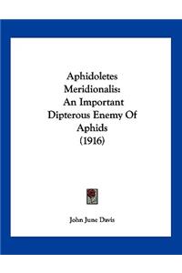 Aphidoletes Meridionalis