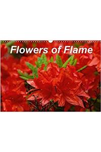 Flowers of Flame 2017