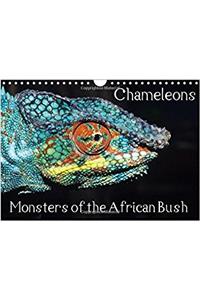 Chameleons Monsters of the African Bush 2017