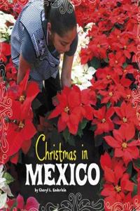 Christmas in Mexico
