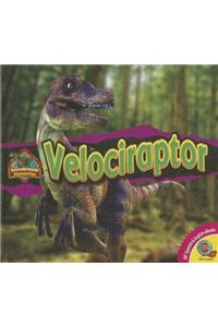 Velociraptor