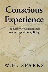 Conscious Experience