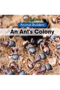 Ant's Colony