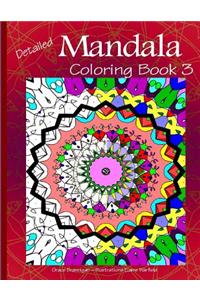 Detailed Mandala Coloring Book 3