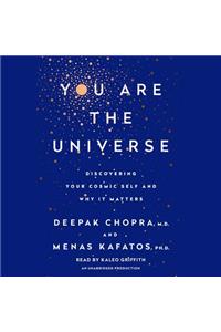 You Are the Universe