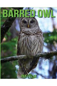 Barred Owl