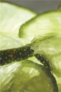 Lime Slices Journal