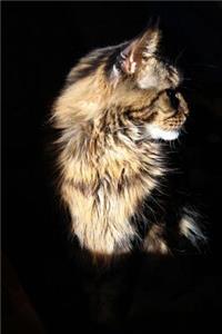 Maine Coon Cat on Black Background Journal: 150 Page Lined Notebook/Diary
