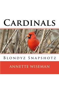 Cardinals: Blondyz Snapshotz