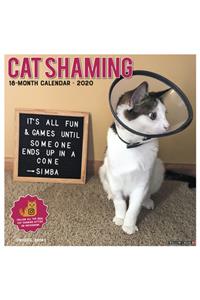 Cat Shaming 2020 Wall Calendar