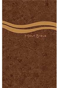 Church Bible-CEB