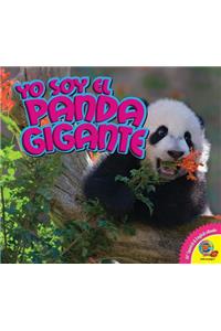 Yo Soy el Panda Gigante, With Code