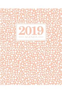 Agenda 2019